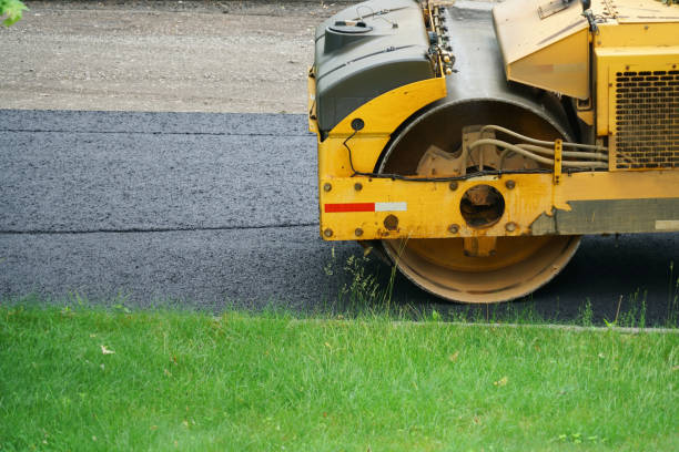 Best Professional Driveway Pavers  in Mendota, IL
