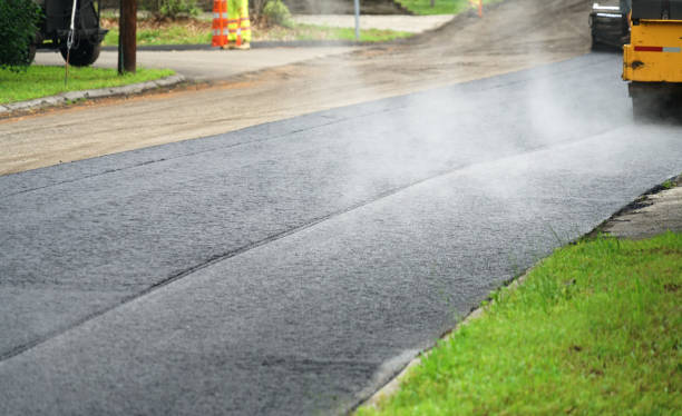 Best Local Driveway Pavers  in Mendota, IL